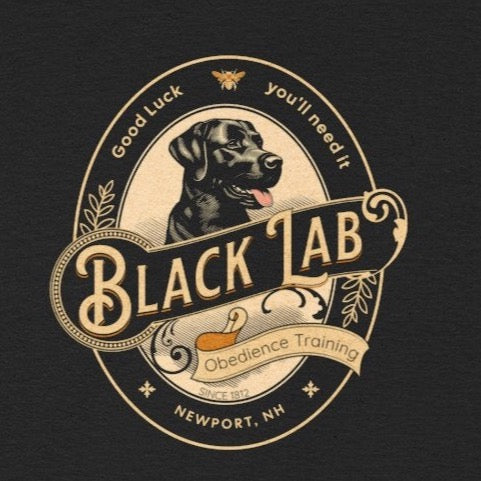 Black Lab Obedience